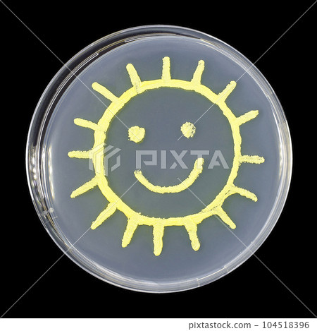 Sun, microbial art 104518396