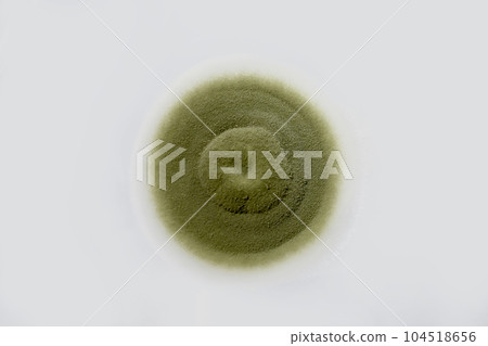 Colony of a mold fungus cultivated from indoor air 104518656