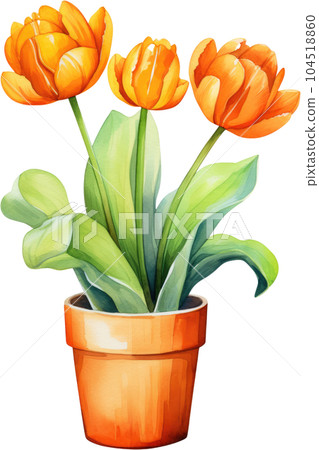 Tulip Flower in Pot Watercolor Painting. Clipart Colorful Tulips Flowerpot. Tulip Flower in Pot Watercolor Painting. Clipart Colorful Tulips Flowerpot. 104518860