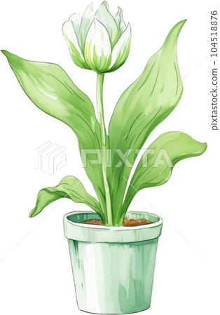 Tulip Flower in Pot Watercolor Painting. Clipart Colorful Tulips Flowerpot. Tulip Flower in Pot Watercolor Painting. Clipart Colorful Tulips Flowerpot. 104518876