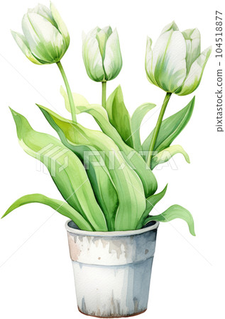Tulip Flower in Pot Watercolor Painting. Clipart Colorful Tulips Flowerpot. Tulip Flower in Pot Watercolor Painting. Clipart Colorful Tulips Flowerpot. 104518877