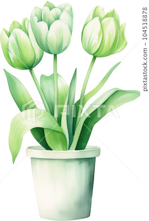 Tulip Flower in Pot Watercolor Painting. Clipart Colorful Tulips Flowerpot. Tulip Flower in Pot Watercolor Painting. Clipart Colorful Tulips Flowerpot. 104518878