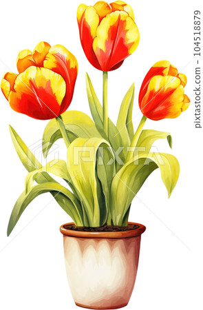 Tulip Flower in Pot Watercolor Painting. Clipart Colorful Tulips Flowerpot. Tulip Flower in Pot Watercolor Painting. Clipart Colorful Tulips Flowerpot. 104518879