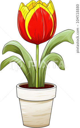 Tulip Flower in Pot Watercolor Painting. Clipart Colorful Tulips Flowerpot. Tulip Flower in Pot Watercolor Painting. Clipart Colorful Tulips Flowerpot. 104518880