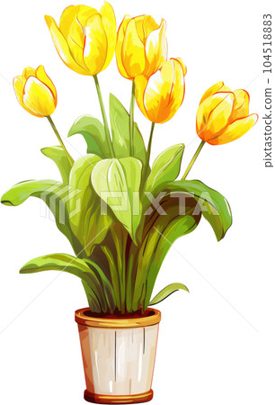 Tulip Flower in Pot Watercolor Painting. Clipart Colorful Tulips Flowerpot. Tulip Flower in Pot Watercolor Painting. Clipart Colorful Tulips Flowerpot. 104518883