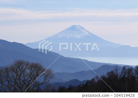 Fuji winter view from Yatsugatake Farm 104519428