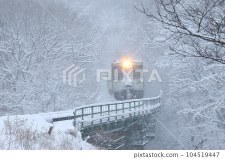 The Koumi Line running through the falling snow 104519447