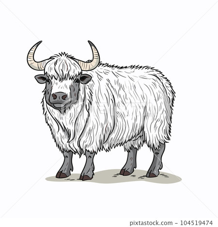 Bullock hand-drawn illustration. Bullock. Vector doodle style cartoon illustration 104519474