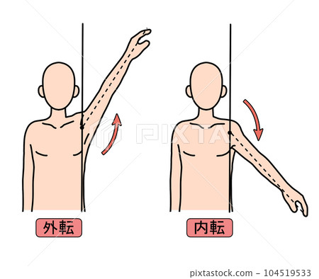 外展內收 104519533