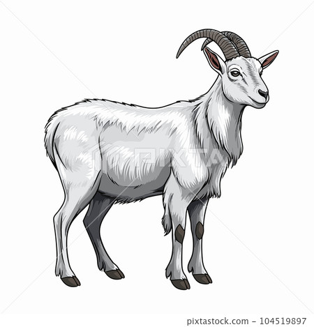 Goat hand-drawn illustration. Goat. Vector doodle style cartoon illustration Goat hand-drawn illustration. Goat. Vector doodle style cartoon illustration 104519897