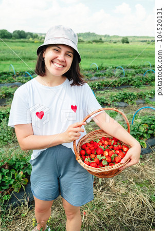 Woman gathering Strawberries at the farm Woman gathering Strawberries at the farm 104520131