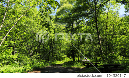 Early summer in Kamikochi, a famous national park in Nagano Prefecture (clear weather) 104520147