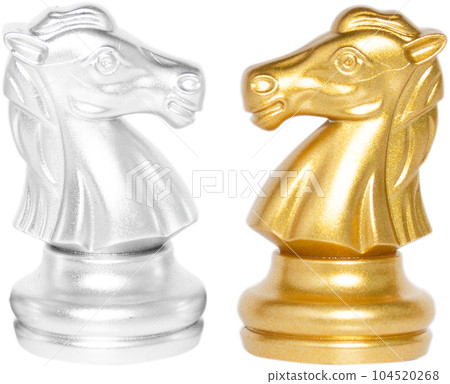 horse chess. 104520268