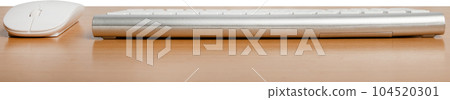 Keyboard and mouse. Keyboard and mouse. 104520301