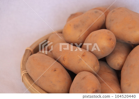 白色背景中的很多土豆 104520440