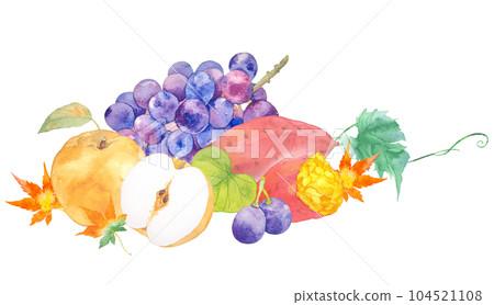 葡萄、梨和紅薯秋季水果禮物水彩插圖 104521108