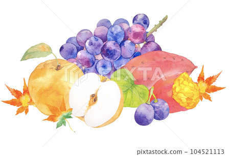 Autumn taste Grape, pear and sweet potato gift watercolor illustration 104521113