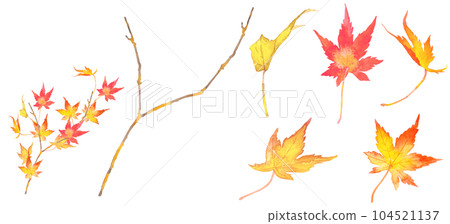 Set illustration of beautiful autumn leaves drawn by watercolor 104521137