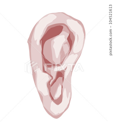 Face parts left ear 104521613