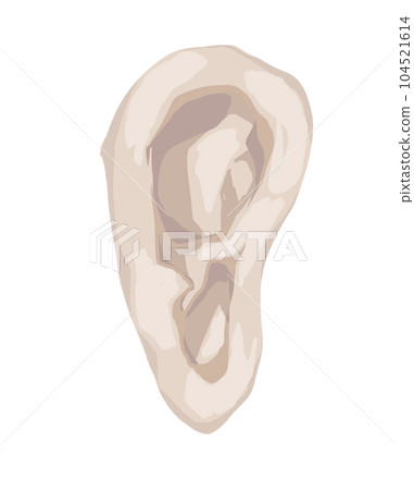 Face parts left ear - Stock Illustration [104521614] - PIXTA