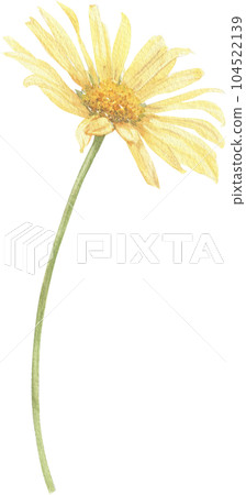 Yellow flower hand-drawn in watercolor. Yellow flower hand-drawn in watercolor. 104522139