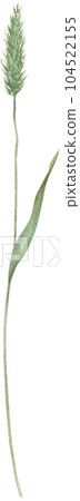 Summer herbs hand drawn in watercolor. Summer herbs hand drawn in watercolor. 104522155