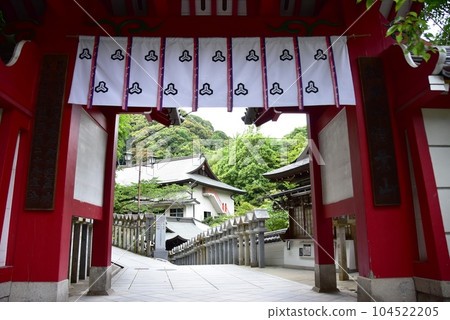 奈良縣信貴山朝後尊寺的紅色大門、參道和新綠 104522205