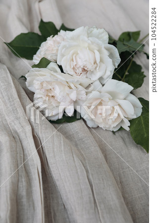 Beautiful pink nude colored roses on folded beige cotton throw, table cloth. Muslin fabric textile. Elegant wedding still life, web banner. Blurred background. Vertical floral composition. Birthday. 104522284