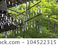 Wind Chime Festival "Invited by the Summer Wind" 104522315