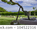 Marriage Pine "From the craftsman's mischief" 104522316