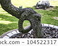 Matchmaking Pine "Smiling Temporary" 104522317