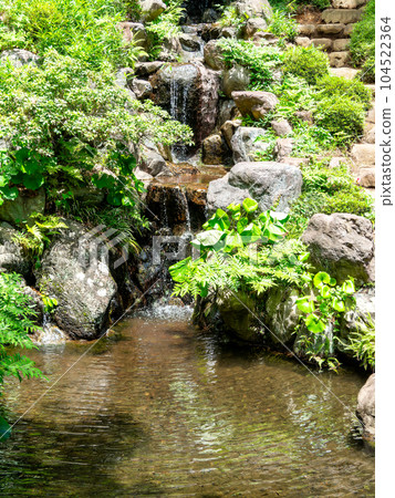 Refreshing scenery in early summer, spring water from the Kokubunji Cliff Line that nurtures rich greenery Refreshing scenery in early summer, spring water from the Kokubunji Cliff Line that nurtures rich greenery 104522364