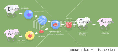 3D Isometric Flat Vector Conceptual Illustration of Animal Cloning 104523184