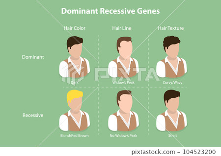 3D Isometric Flat Vector Conceptual Illustration of Dominant Recessive Genes 104523200