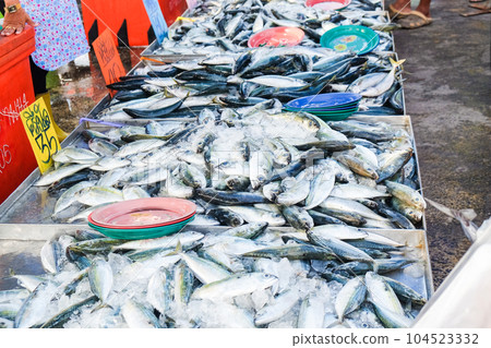 Sea tuna fish sell in fishery market people buy fish 104523332