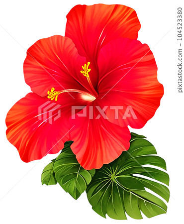 Red hibiscus flowers have fresh green leaves clipart Red hibiscus flowers have fresh green leaves clipart 104523380