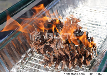 Charcoal Starter (Pine cone) 11 104523670