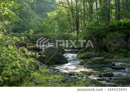 夏天的晨光傾注在山澗裡 夏天的晨光傾注在山澗裡 104523943