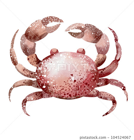 Watercolor illustration of a cartoon fish. Marine inhabitants of the underwater world. illustration isolated on white background. education, postcard, sticker, sublimation. Watercolor illustration of a cartoon fish. Marine inhabitants of the underwater world. illustration isolated on white background. education, postcard, sticker, sublimation. 104524067