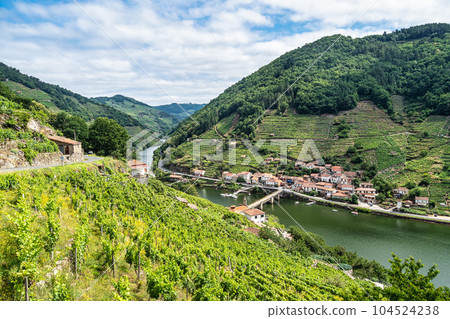 View of Canyon del Sil from Belesar in Parada de Sil in Galicia, Spain, Europe 104524238
