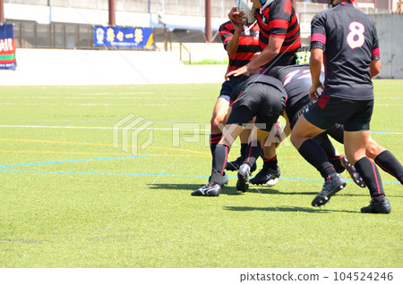 橄欖球 橄欖球 104524246