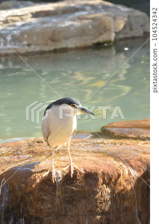 水邊採空區 104524342