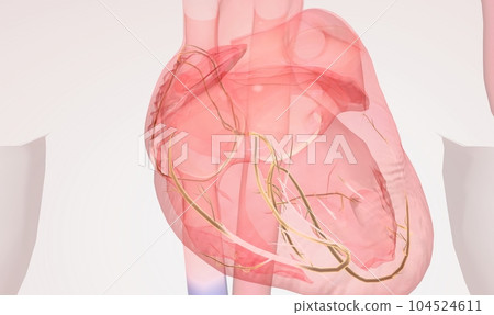 Atrial fibrillation is a type of abnormal heartbeat that affects Atrial fibrillation is a type of abnormal heartbeat that affects 104524611