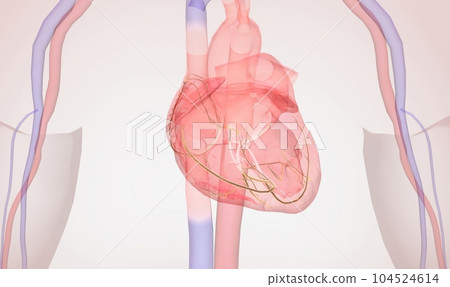 Atrial fibrillation is a type of abnormal heartbeat that affects Atrial fibrillation is a type of abnormal heartbeat that affects 104524614