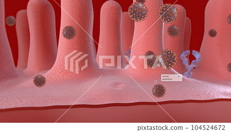 The Coronavirus attacking airway cell The Coronavirus attacking airway cell 104524672