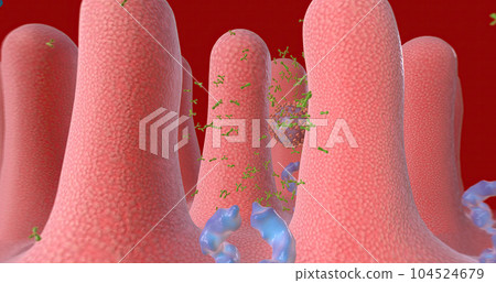 Covid-19 Immune Response with Vaccination, Antibodies 104524679