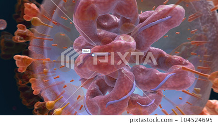 SARS-CoV-2 virus. This is the name of the virus that causes COVID-19. 104524695