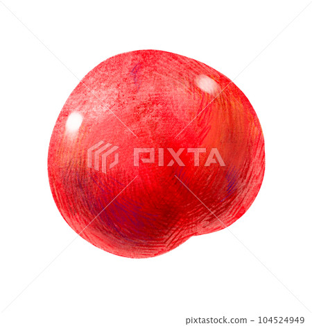 手繪水果插畫李子（梅、李） 104524949