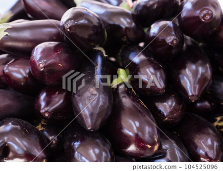 Fresh eggplant on market counter 104525096