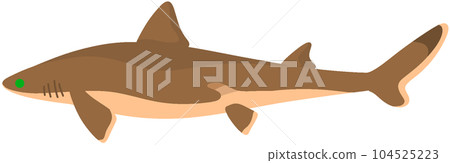fin shark 104525223